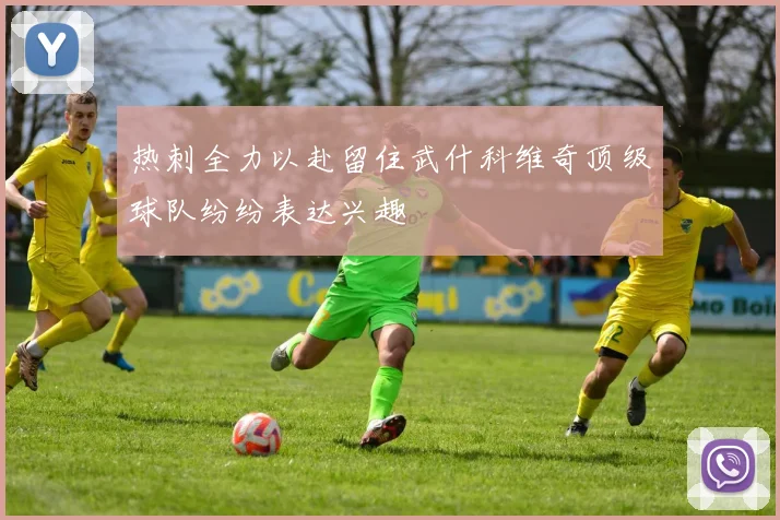 热刺全力以赴留住武什科维奇顶级球队纷纷表达兴趣