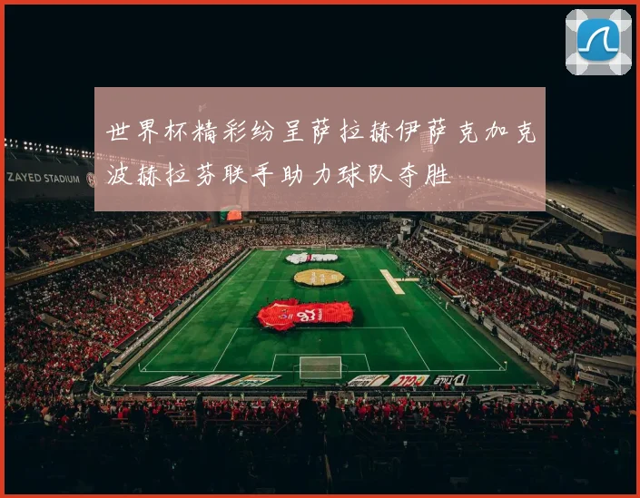 世界杯精彩纷呈萨拉赫伊萨克加克波赫拉芬联手助力球队夺胜